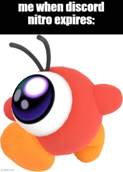 Waddle Doo | me when discord nitro expires: | image tagged in waddle doo | made w/ Imgflip meme maker