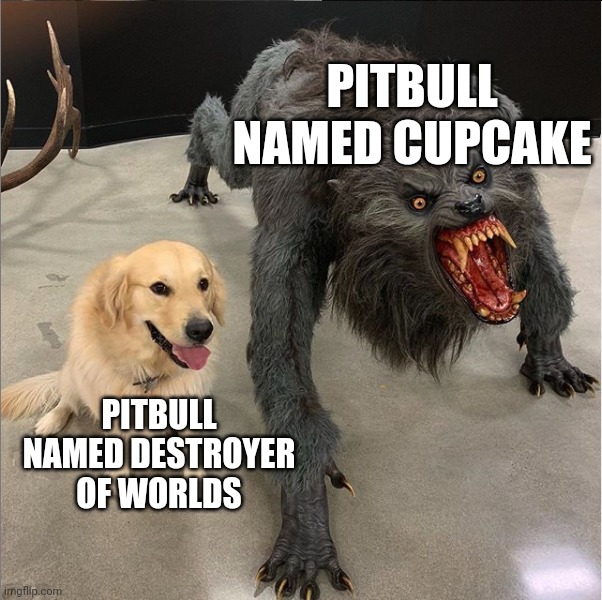 Why do pitbulls work like this | PITBULL NAMED CUPCAKE; PITBULL NAMED DESTROYER OF WORLDS | image tagged in dog vs werewolf | made w/ Imgflip meme maker