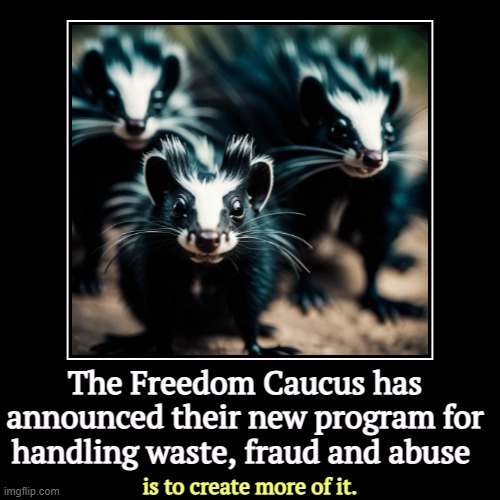 The Freedom Caucus has announced their new program for handling waste, fraud and abuse | is to create more of it. | image tagged in funny,demotivationals,freedom,waste,fraud,abuse | made w/ Imgflip demotivational maker