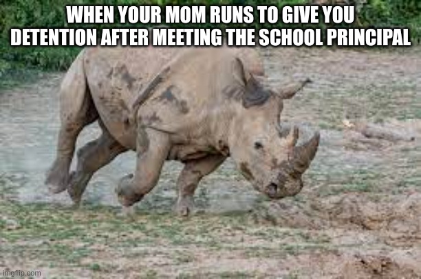 Angry Mom | WHEN YOUR MOM RUNS TO GIVE YOU DETENTION AFTER MEETING THE SCHOOL PRINCIPAL | image tagged in meme,funny memes,funny,animal | made w/ Imgflip meme maker