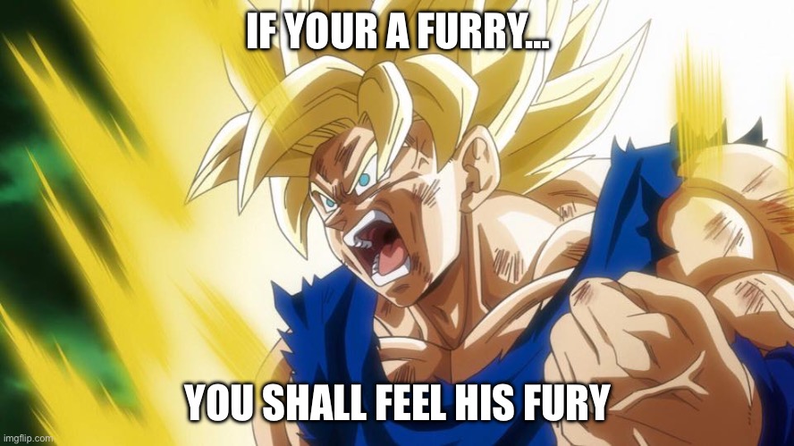 Don’t make goku mad | IF YOUR A FURRY…; YOU SHALL FEEL HIS FURY | image tagged in goku ssj,anti furry | made w/ Imgflip meme maker