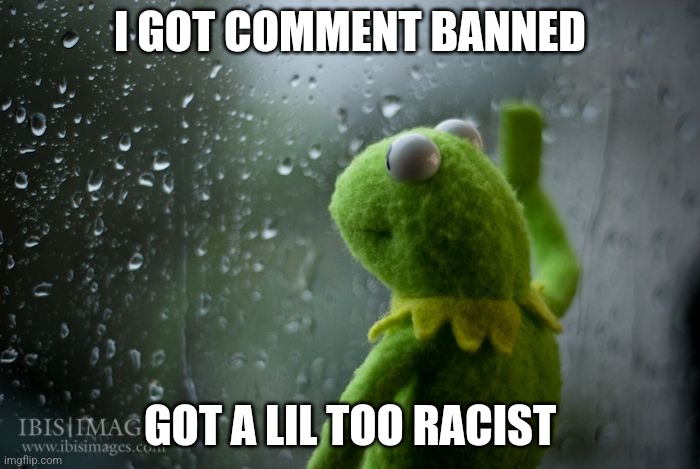 Just a little | I GOT COMMENT BANNED; GOT A LIL TOO RACIST | image tagged in kermit window | made w/ Imgflip meme maker