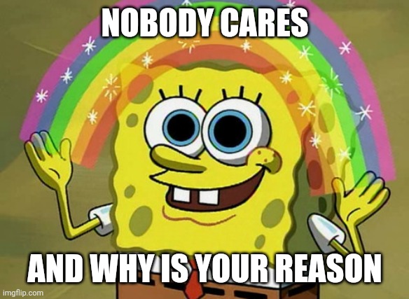 Imagination Spongebob Meme | NOBODY CARES AND WHY IS YOUR REASON | image tagged in memes,imagination spongebob | made w/ Imgflip meme maker