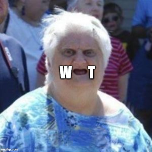WAT Lady | W      T | image tagged in wat lady | made w/ Imgflip meme maker