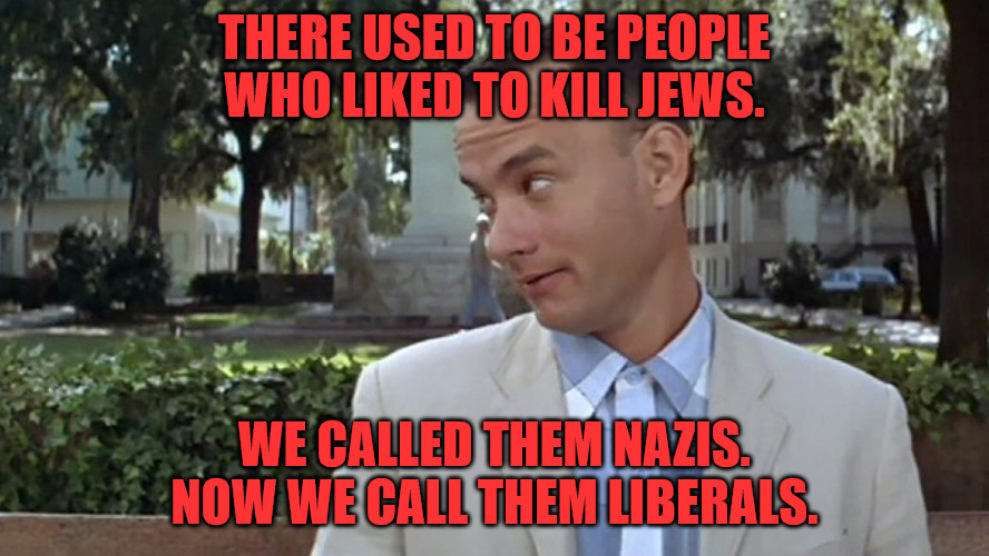 A Nazi is a Nazi | THERE USED TO BE PEOPLE WHO LIKED TO KILL JEWS. WE CALLED THEM NAZIS. NOW WE CALL THEM LIBERALS. | image tagged in forrest gump face | made w/ Imgflip meme maker