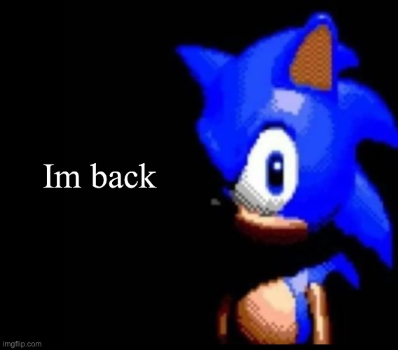 Sonic stares | Im back | image tagged in sonic stares | made w/ Imgflip meme maker
