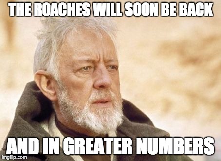 Obi Wan Kenobi | THE ROACHES WILL SOON BE BACK AND IN GREATER NUMBERS | image tagged in memes,obi wan kenobi | made w/ Imgflip meme maker