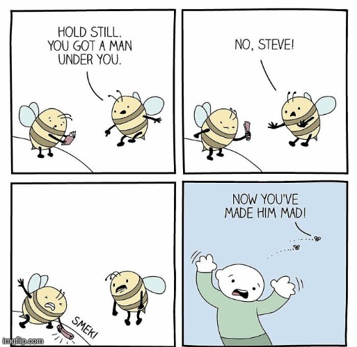 Bees | image tagged in bee,bees,smack,head,comics,comics/cartoons | made w/ Imgflip meme maker