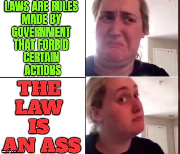 THE LAW IS AN ASS | LAWS ARE RULES 
MADE BY 
GOVERNMENT 
THAT FORBID 
CERTAIN 
ACTIONS; THE 
LAW 
IS 
AN ASS | image tagged in kombucha girl,law,it's the law,government corruption,government,evil government | made w/ Imgflip meme maker
