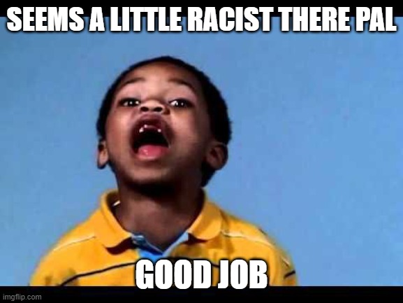 That's racist 2 | SEEMS A LITTLE RACIST THERE PAL GOOD JOB | image tagged in that's racist 2 | made w/ Imgflip meme maker