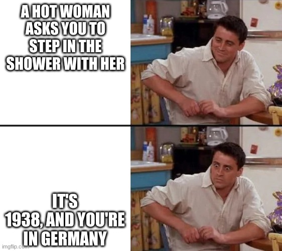 Surprised Joey | A HOT WOMAN ASKS YOU TO STEP IN THE SHOWER WITH HER; IT'S 1938, AND YOU'RE IN GERMANY | image tagged in surprised joey | made w/ Imgflip meme maker