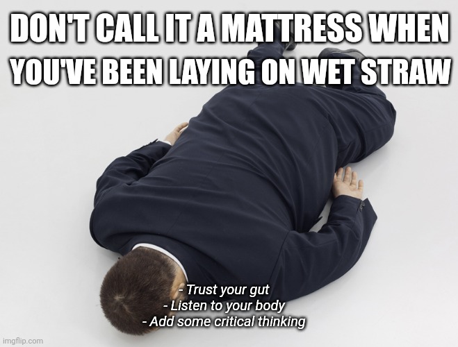 Mistaken comfort | YOU'VE BEEN LAYING ON WET STRAW; DON'T CALL IT A MATTRESS WHEN; - Trust your gut
- Listen to your body
- Add some critical thinking | image tagged in laying down,life lessons,personality,self esteem,knowledge,healing | made w/ Imgflip meme maker