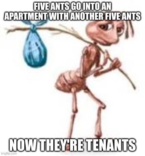 Sad ant with bindle | FIVE ANTS GO INTO AN APARTMENT WITH ANOTHER FIVE ANTS; NOW THEY'RE TENANTS | image tagged in sad ant with bindle | made w/ Imgflip meme maker