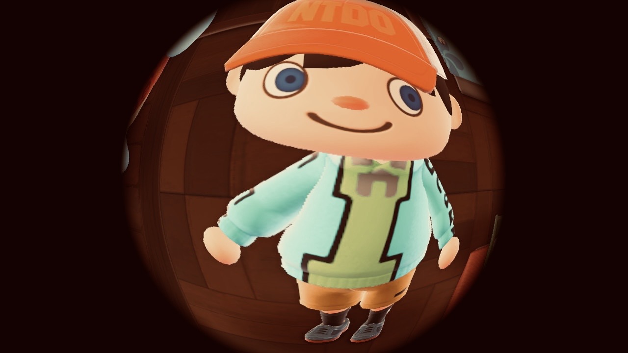 Animal Crossing fisheye smile Blank Meme Template