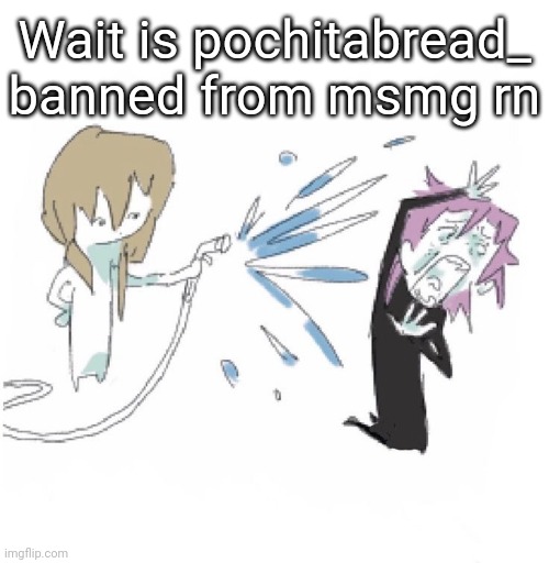 Soul eater | Wait is pochitabread_ banned from msmg rn | image tagged in soul eater | made w/ Imgflip meme maker