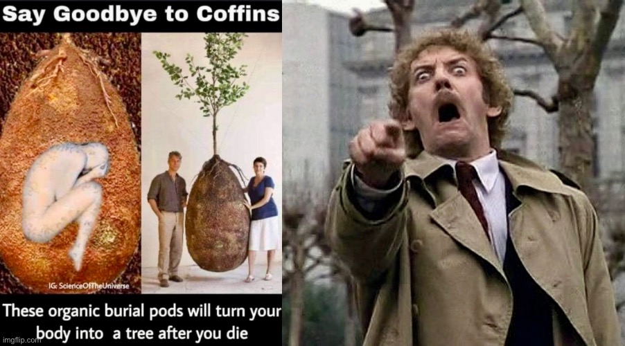 Invasion of the Coffin Snatchers | image tagged in coffin,tree,invasion of the body snatchers,tree hugger,science fiction | made w/ Imgflip meme maker