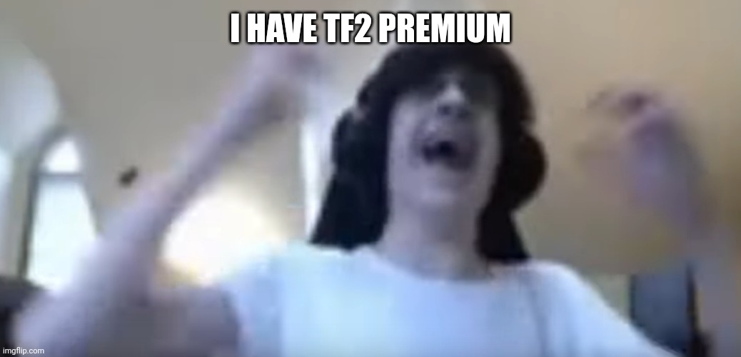 YEESSSSSSS | I HAVE TF2 PREMIUM | image tagged in npesta hands | made w/ Imgflip meme maker