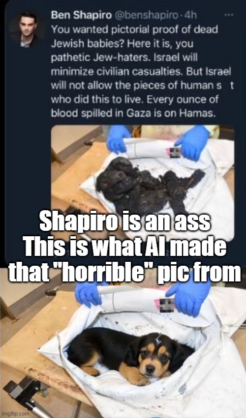 Shapiro is an ass
This is what AI made that "horrible" pic from | made w/ Imgflip meme maker