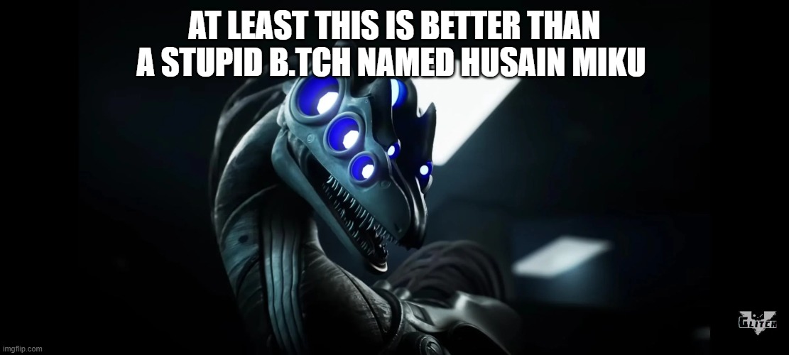 AT LEAST THIS IS BETTER THAN A STUPID B.TCH NAMED HUSAIN MIKU | made w/ Imgflip meme maker