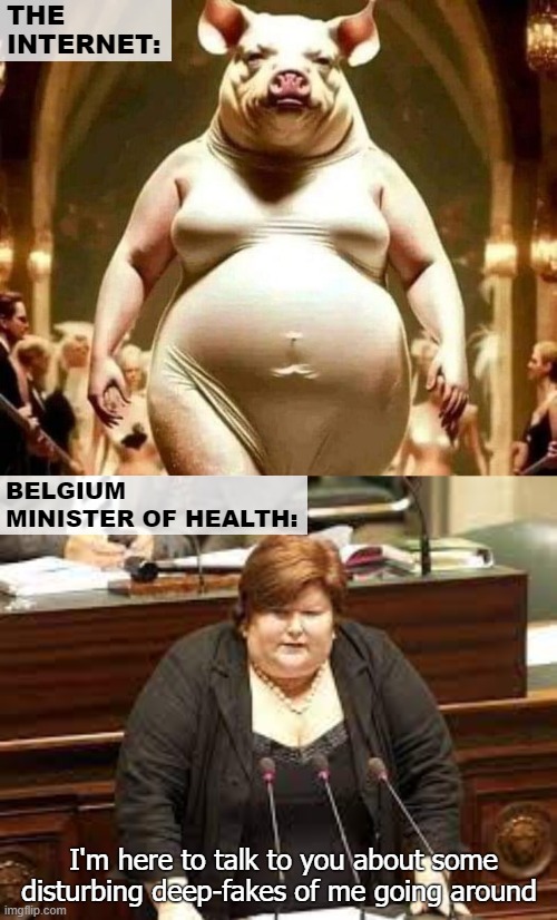 THE INTERNET:; BELGIUM MINISTER OF HEALTH:; I'm here to talk to you about some disturbing deep-fakes of me going around | image tagged in funny,ai | made w/ Imgflip meme maker