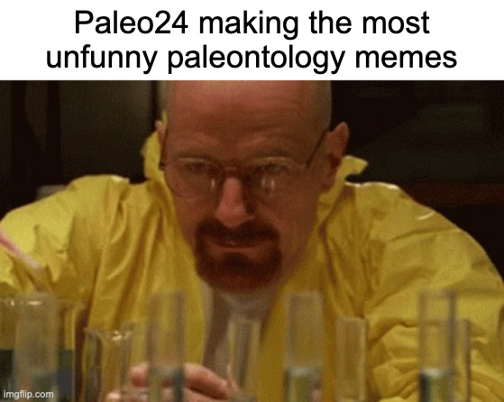 idk if it's because i'm not a palentology enthueisast or my sense of humor differs (Blook: Shut) | Paleo24 making the most unfunny paleontology memes | image tagged in walter white cooking | made w/ Imgflip meme maker