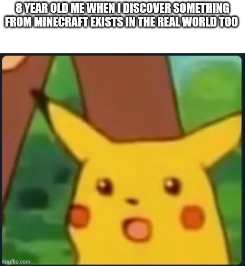 Surprised Pikachu | 8 YEAR OLD ME WHEN I DISCOVER SOMETHING FROM MINECRAFT EXISTS IN THE REAL WORLD TOO | image tagged in surprised pikachu | made w/ Imgflip meme maker