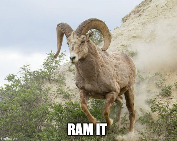 RAM IT | RAM IT | image tagged in rammed,ram,ram it,rammit | made w/ Imgflip meme maker