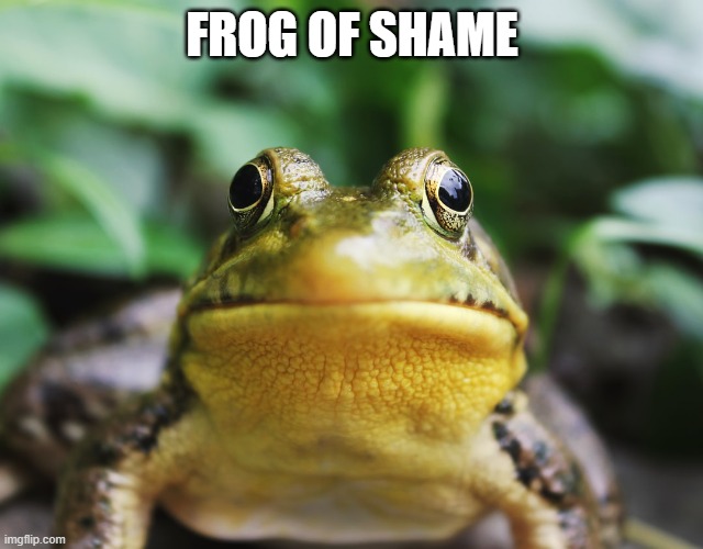 Frog of Shame | FROG OF SHAME | image tagged in frog of shame | made w/ Imgflip meme maker