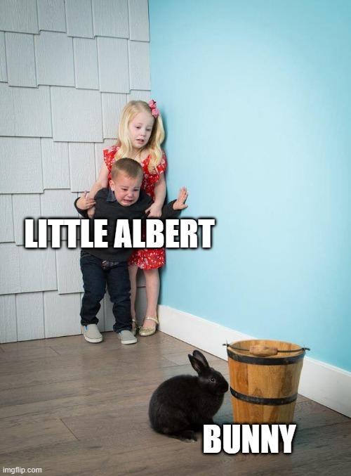 Kids Afraid of Rabbit | LITTLE ALBERT; BUNNY | image tagged in kids afraid of rabbit | made w/ Imgflip meme maker