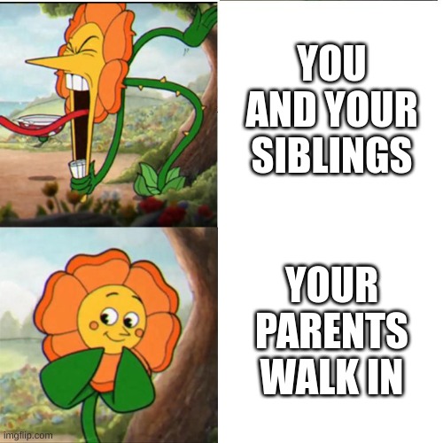 Cuphead Flower | YOU AND YOUR SIBLINGS; YOUR PARENTS WALK IN | image tagged in cuphead flower,memes,meme | made w/ Imgflip meme maker