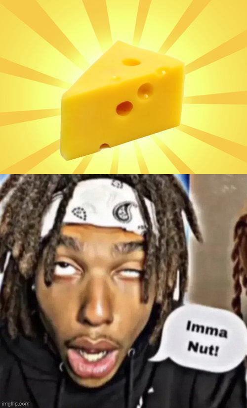 image tagged in cheese time,imma nut | made w/ Imgflip meme maker