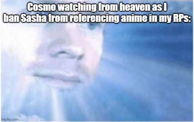 In heaven looking down | Cosmo watching from heaven as I ban Sasha from referencing anime in my RPs: | image tagged in in heaven looking down | made w/ Imgflip meme maker