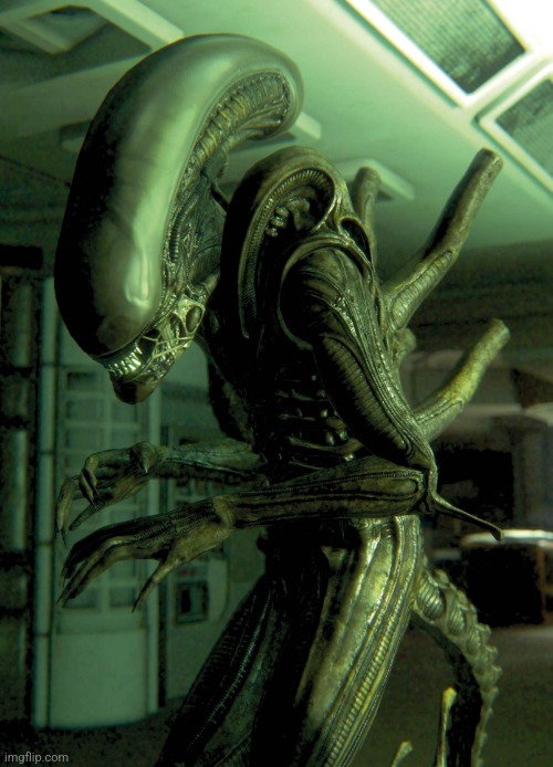 Xenomorph Drone | image tagged in xenomorph drone | made w/ Imgflip meme maker