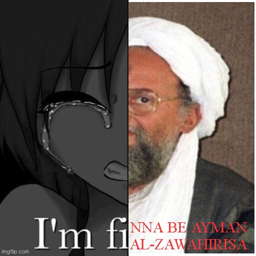 I'm fi | NNA BE AYMAN AL-ZAWAHIRISA | image tagged in i'm fi | made w/ Imgflip meme maker
