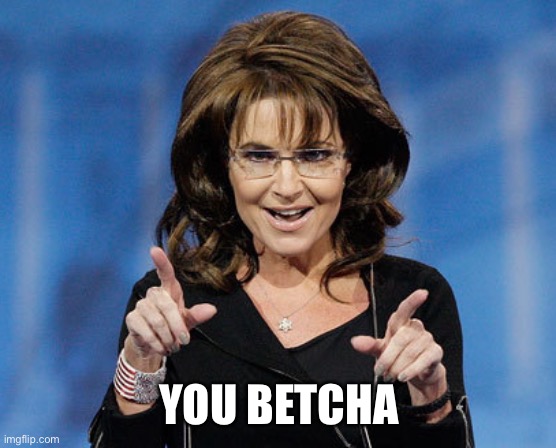 Sarah Palin Two Finger Pointing | YOU BETCHA | image tagged in sarah palin two finger pointing | made w/ Imgflip meme maker