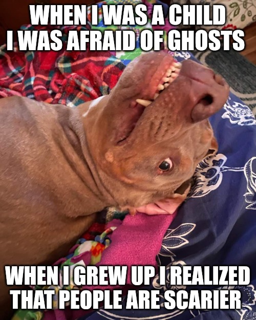 Johnny Hollywood | WHEN I WAS A CHILD I WAS AFRAID OF GHOSTS; WHEN I GREW UP I REALIZED THAT PEOPLE ARE SCARIER | image tagged in johnny hollywood,ghost boo,halloween,happy halloween,scared face,scariest things on earth | made w/ Imgflip meme maker