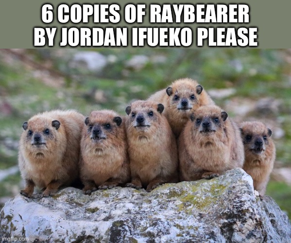 6 copies of Raybearer by Jordan Ifueko please ( Hyrax ) | 6 COPIES OF RAYBEARER BY JORDAN IFUEKO PLEASE | image tagged in books,animals,cute animals,animal meme,funny animal meme,literature | made w/ Imgflip meme maker