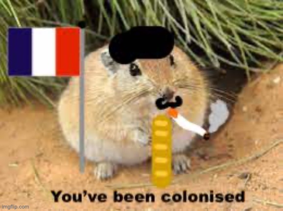 you've been colonised | image tagged in remy the rat,fat sand rat,french | made w/ Imgflip meme maker