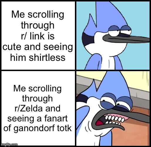 MY EYES | Me scrolling through r/ link is cute and seeing him shirtless; Me scrolling through r/Zelda and seeing a fanart of ganondorf TotK | image tagged in mordecai disgusted,reddit,fanart,legend of zelda | made w/ Imgflip meme maker