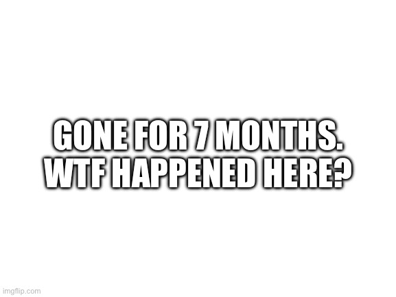 Just wondering. | GONE FOR 7 MONTHS. WTF HAPPENED HERE? | image tagged in blank white template | made w/ Imgflip meme maker