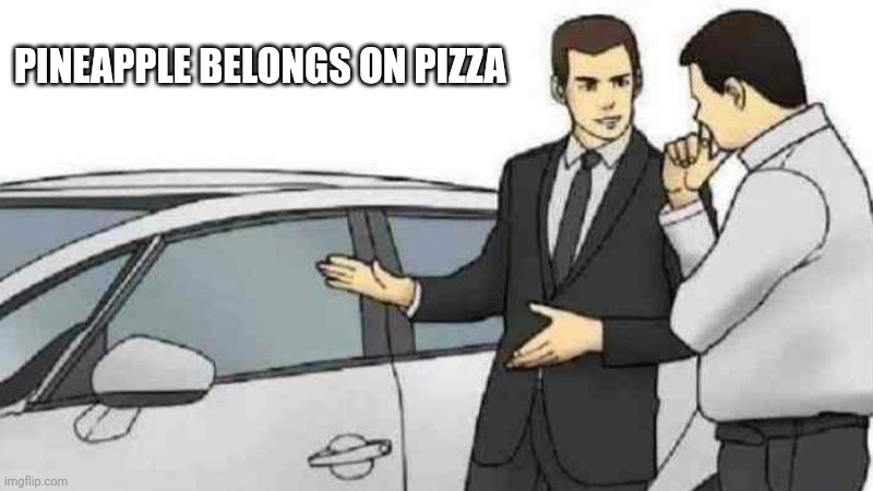 Car Salesman Slaps Roof Of Car Meme | PINEAPPLE BELONGS ON PIZZA | image tagged in memes,car salesman slaps roof of car | made w/ Imgflip meme maker