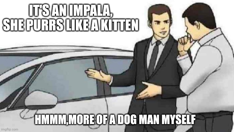 Car Salesman Slaps Roof Of Car | IT'S AN IMPALA, SHE PURRS LIKE A KITTEN; HMMM,MORE OF A DOG MAN MYSELF | image tagged in memes,car salesman slaps roof of car | made w/ Imgflip meme maker