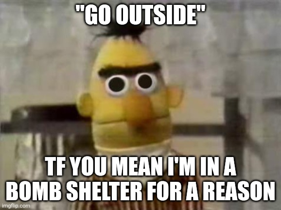 Lmfao "go outside" | "GO OUTSIDE"; TF YOU MEAN I'M IN A BOMB SHELTER FOR A REASON | image tagged in bert stare | made w/ Imgflip meme maker