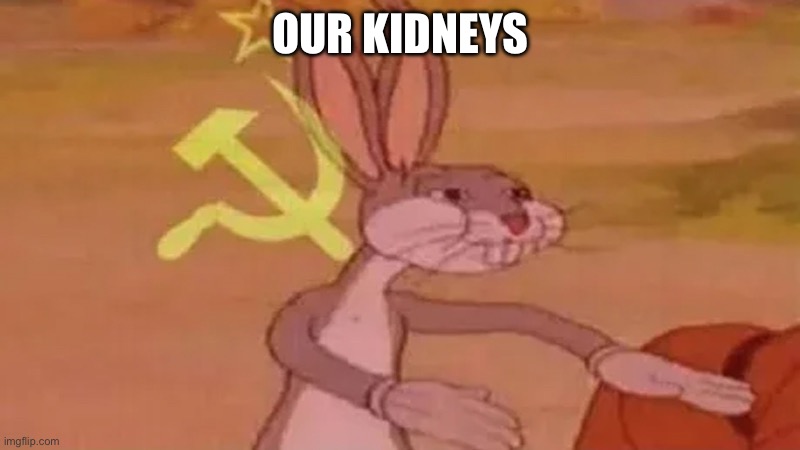 Soviet bugs bunny | OUR KIDNEYS | image tagged in soviet bugs bunny | made w/ Imgflip meme maker
