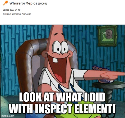 i learned how to inspect element. it's hilarious! | LOOK AT WHAT I DID WITH INSPECT ELEMENT! | image tagged in funny,mepios sucks,mepios,war,anti furry,furry | made w/ Imgflip meme maker