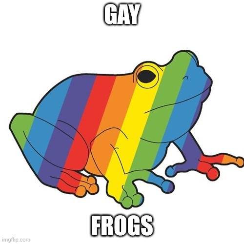 Gay frogs | GAY; FROGS | image tagged in gay frogs | made w/ Imgflip meme maker