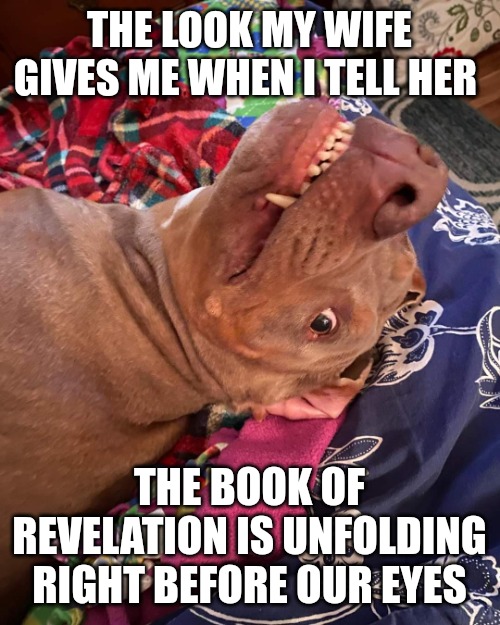 End of the world | THE LOOK MY WIFE GIVES ME WHEN I TELL HER; THE BOOK OF REVELATION IS UNFOLDING RIGHT BEFORE OUR EYES | image tagged in johnny hollywood,end of the world,oh my god okay it's happening everybody stay calm,god is love,god wins | made w/ Imgflip meme maker