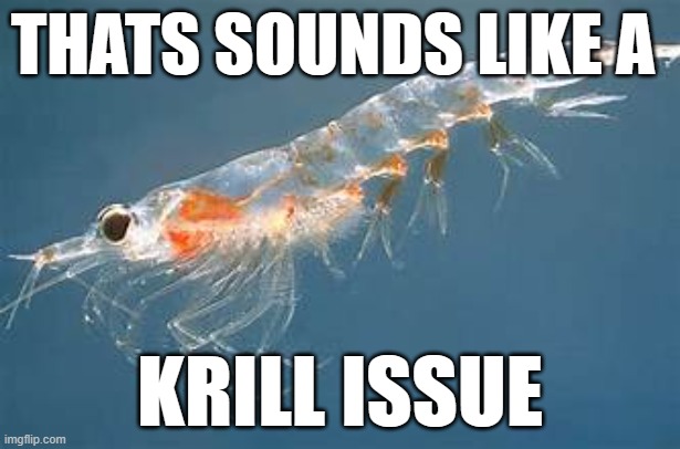 krill issue | THATS SOUNDS LIKE A; KRILL ISSUE | image tagged in funny | made w/ Imgflip meme maker