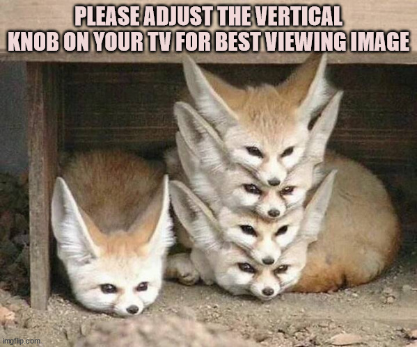 Vertical knob | PLEASE ADJUST THE VERTICAL KNOB ON YOUR TV FOR BEST VIEWING IMAGE | image tagged in tails the fox,fox,foxes,watching tv | made w/ Imgflip meme maker