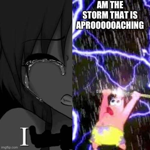 Haha dmc meme go brrr | AM THE STORM THAT IS APROOOOOACHING | image tagged in i'm fi | made w/ Imgflip meme maker